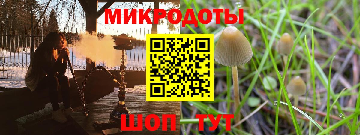 Златоуст  Галлюциногенные грибы мухоморы  Вход с VPN  Галлюциногенные грибы Psilocybe 